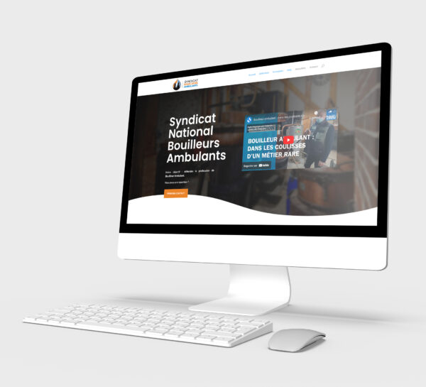creation-de-site-web-design-cabinet-ace-angers-1-600x545