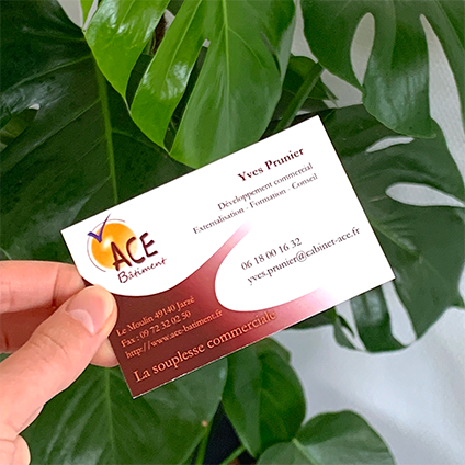 2012 carte de visite cabinet ace 2012 carte de visite cabinet ace
