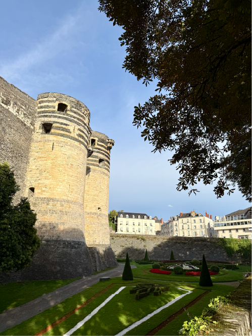 agence ace community manager terrain angers 1 agence ace community manager terrain angers 1